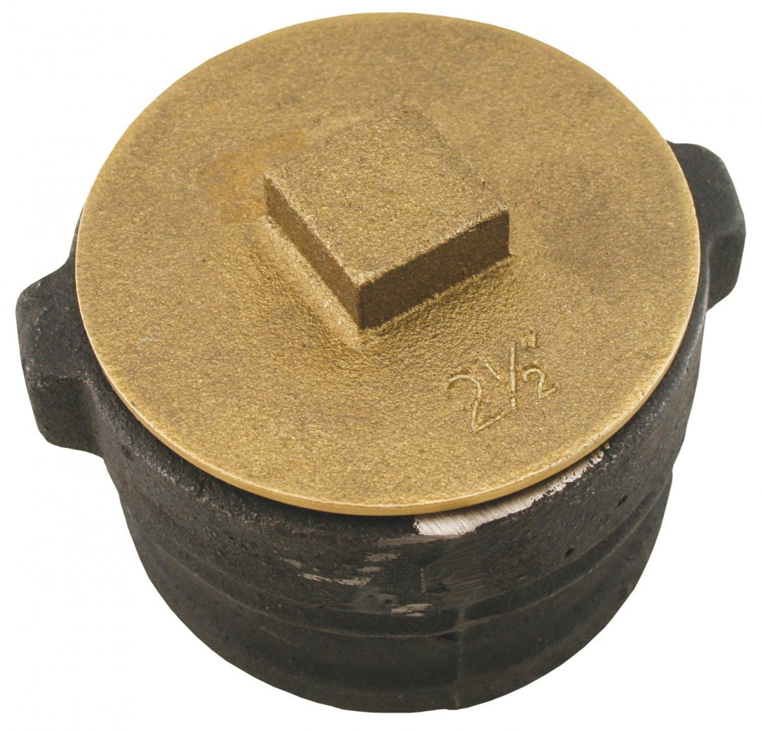 250105716.jpg