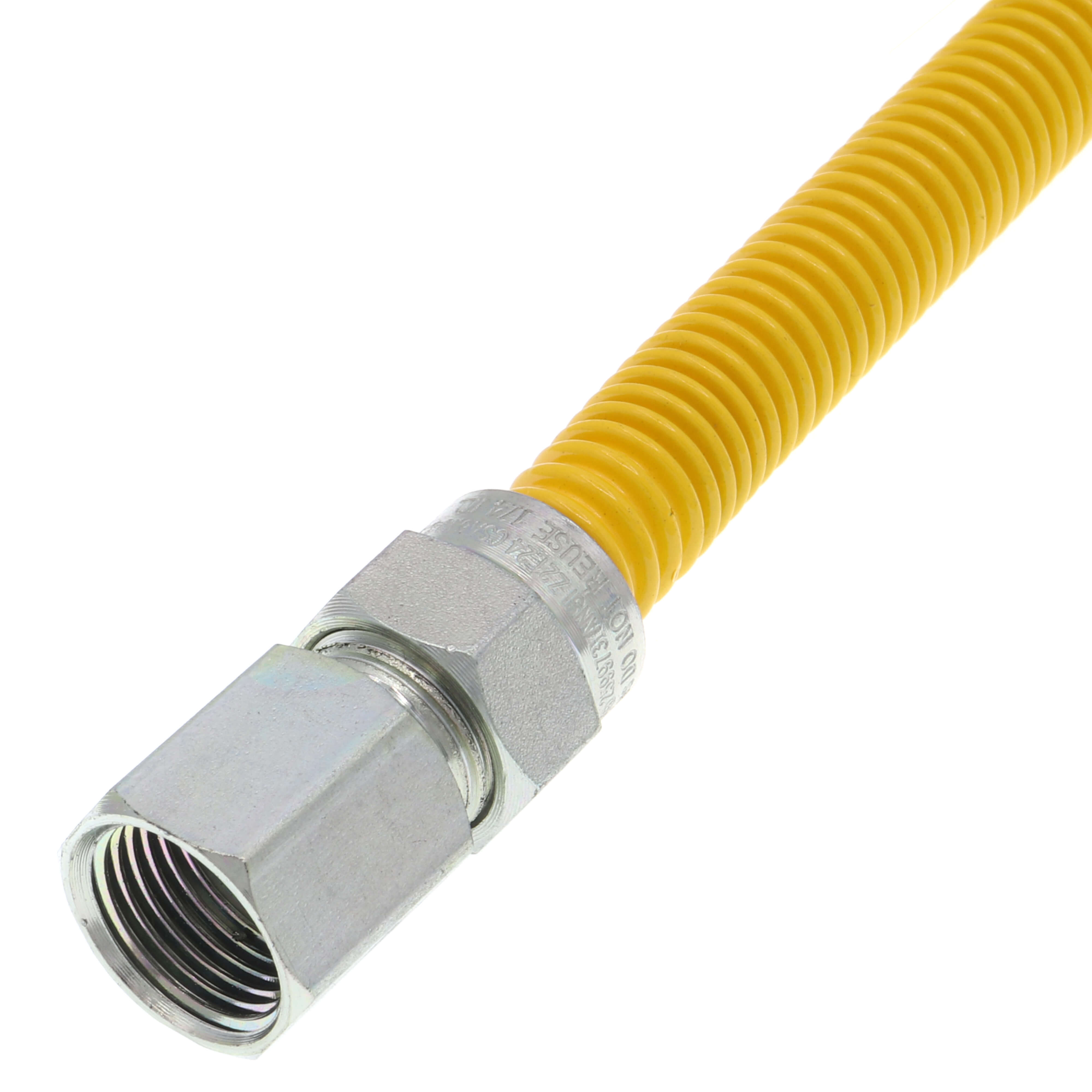 250123851.jpg
