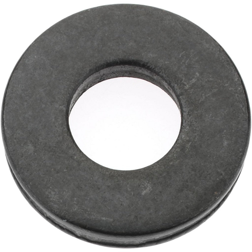 GIBRALTAR Gibraltar 42602G Standard Flat Washer 5/16 in Case Hardened Steel