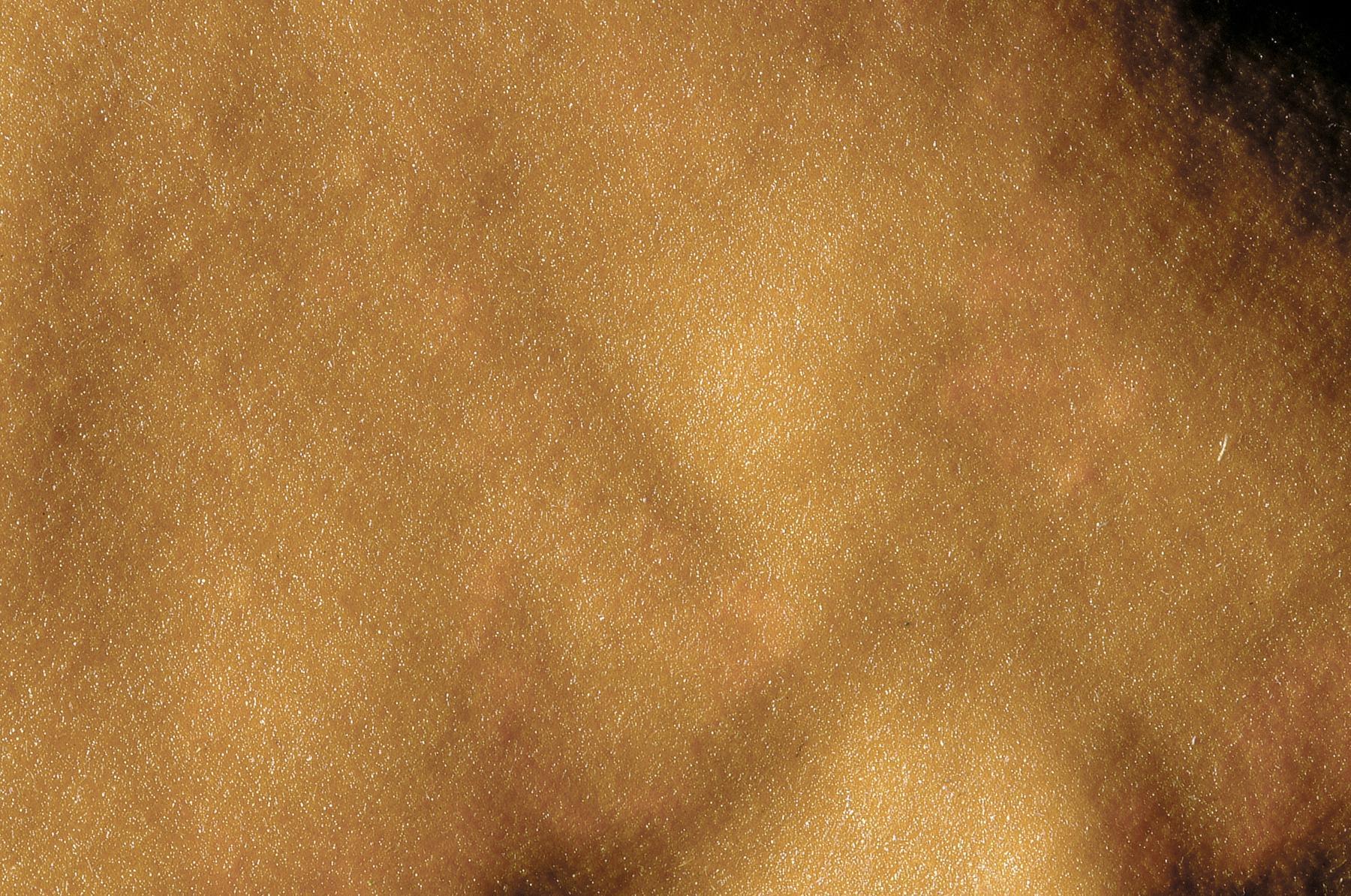 251554701.jpg