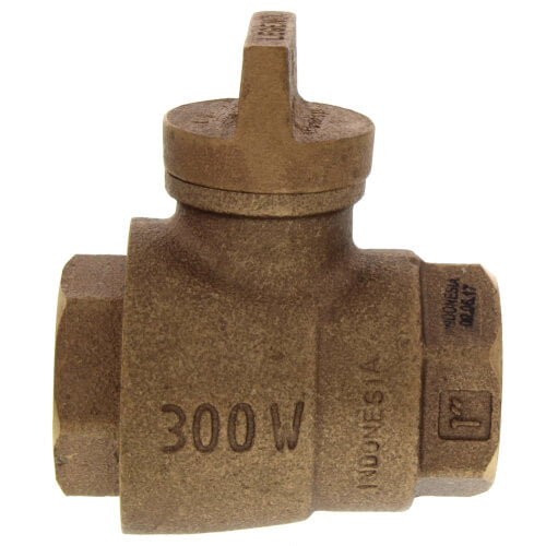 251559552.jpg