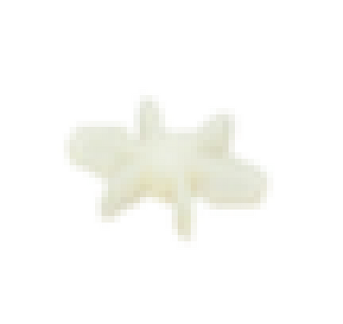 251609946.png