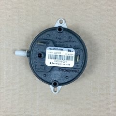 251629209.jpg