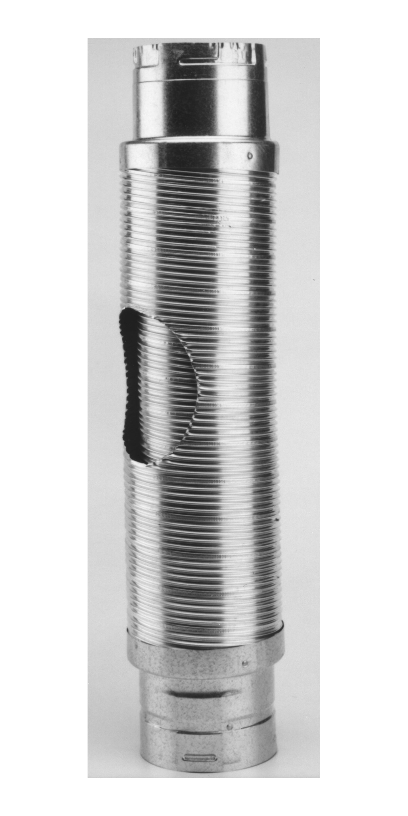 251631387.jpg