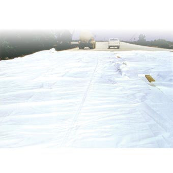 251632271.jpg