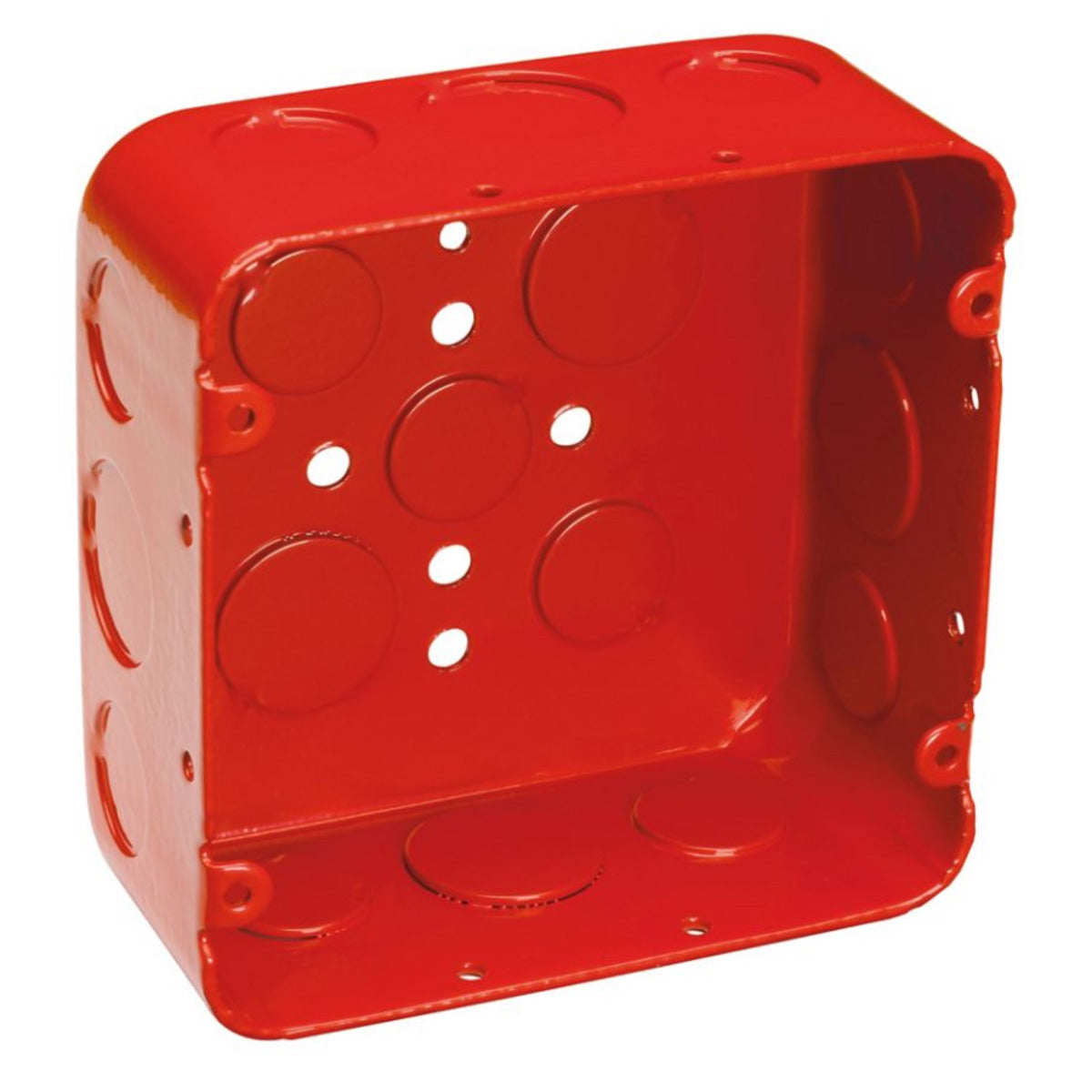 251641307.jpg