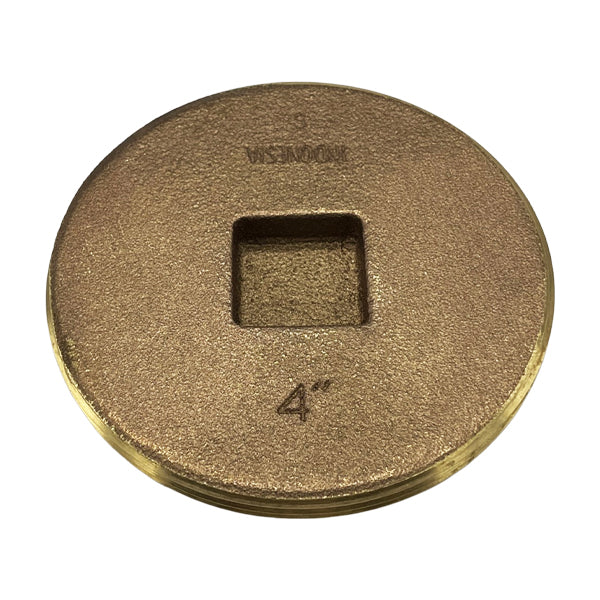 252571047.jpg