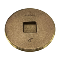 252571047.jpg