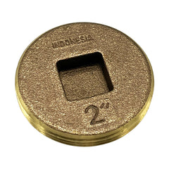 252572975.jpg