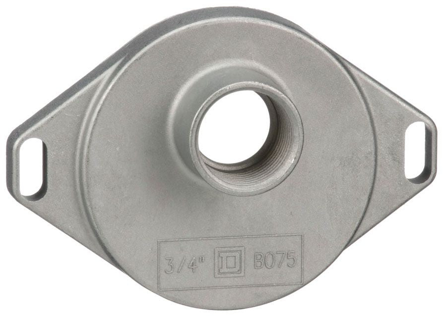 252680986.jpg
