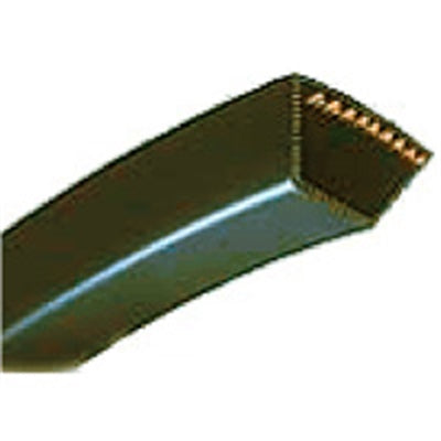 254994204.jpg