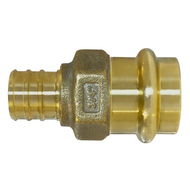 254997662.jpg