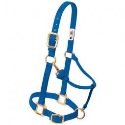 TRUE VALUE 35-7035-BL Weaver Leather Horse Halter With Snap Adjustable Blue Nylon 1-In Average/Yearling