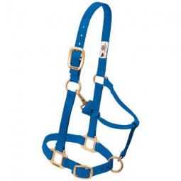 TRUE VALUE 35-1032-BL Weaver Leather Snap Halter For Weanling Pony, Blue Nylon, 3/4-In.