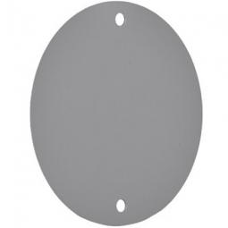 TRUE VALUE RBC-4 Gray Weatherproof Round Blank Cover