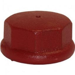 TRUE VALUE DC200 Water Source Well Point Drive Cap, Cast Iron, 2-In.