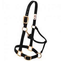 TRUE VALUE 35-7036-BK Weaver Leather Horse Halter, Snap, Black Nylon, 1-In., Large/2-Year Draft