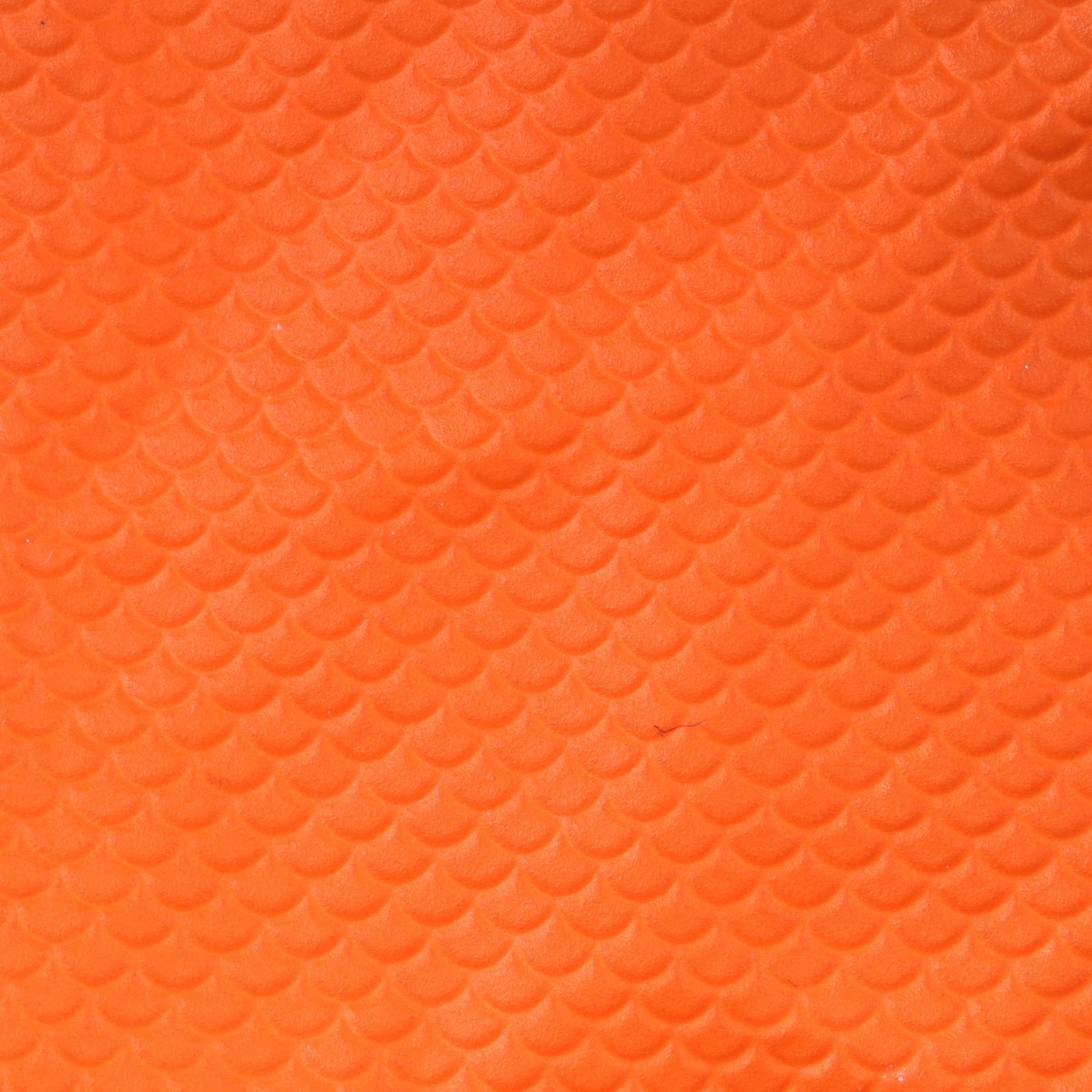 257447603.jpg