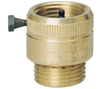 258542406.jpg