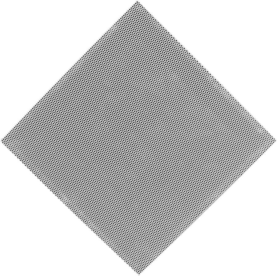 258544706.jpg