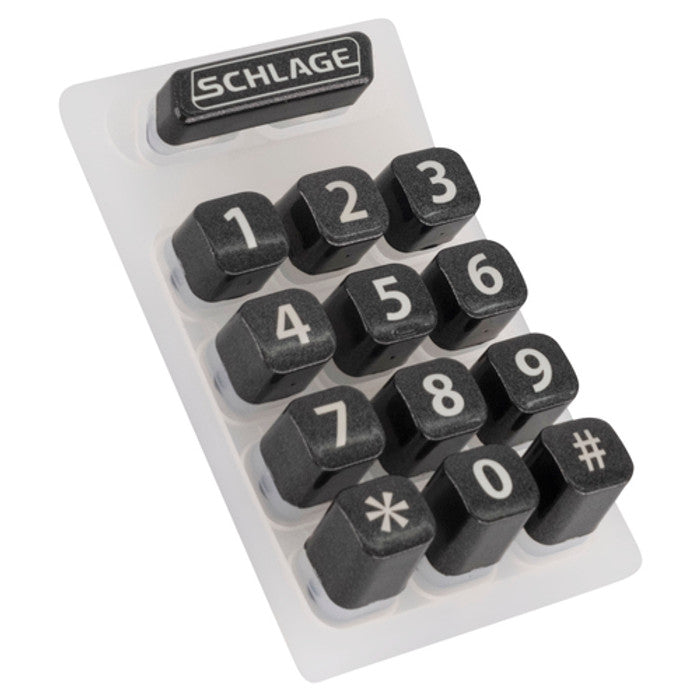 259743116.jpg