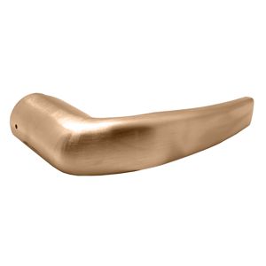 259744064.jpg
