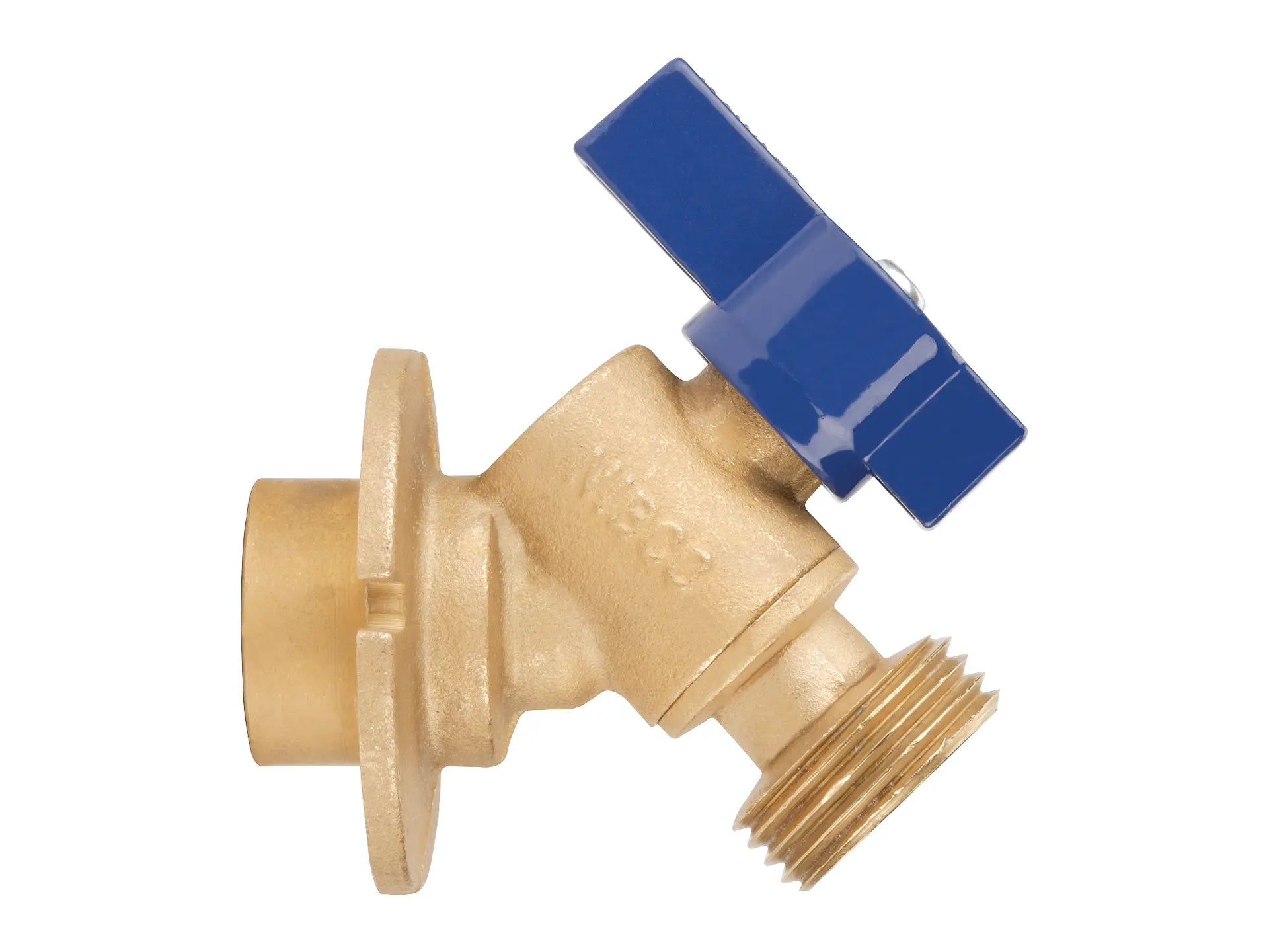 262426172.jpg