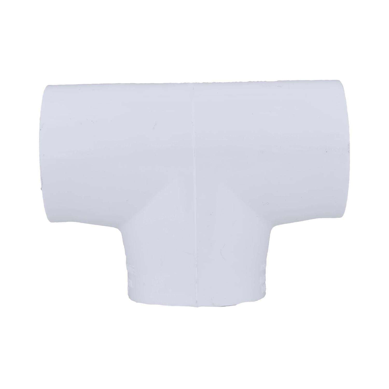 262429257.jpg