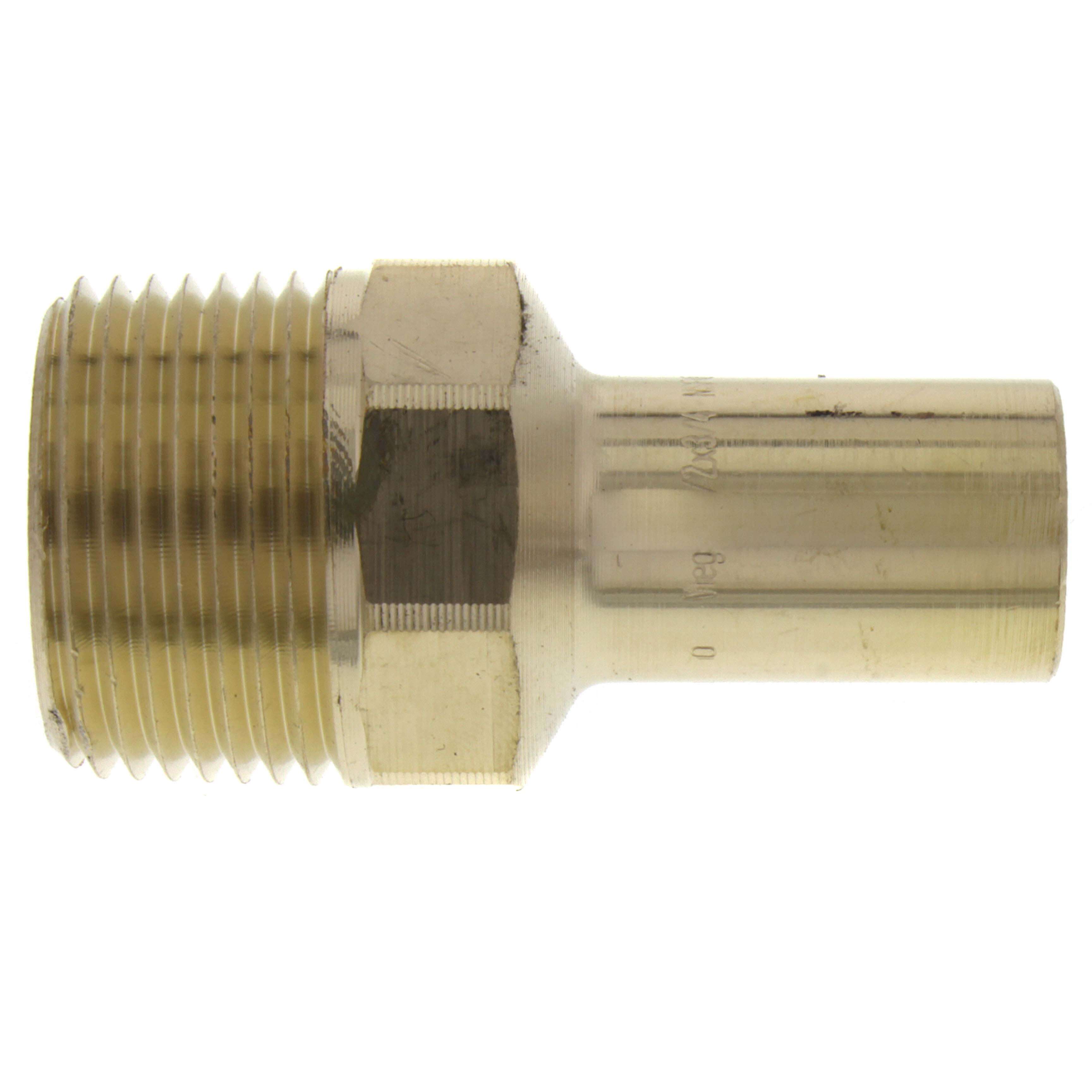 272801663.jpg
