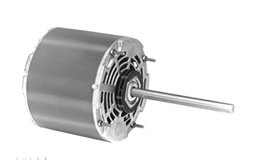 273764513.jpg