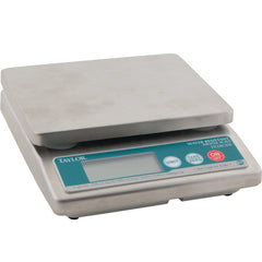 Digital Scale 10LB TE10CSW for Taylor Thermometer TAYTE10CSW