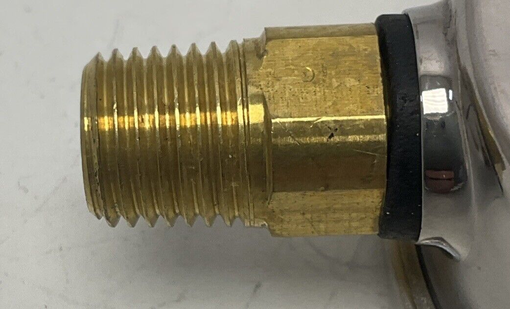 282382302.jpg