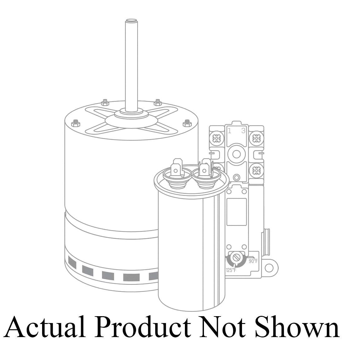 282525075.jpg