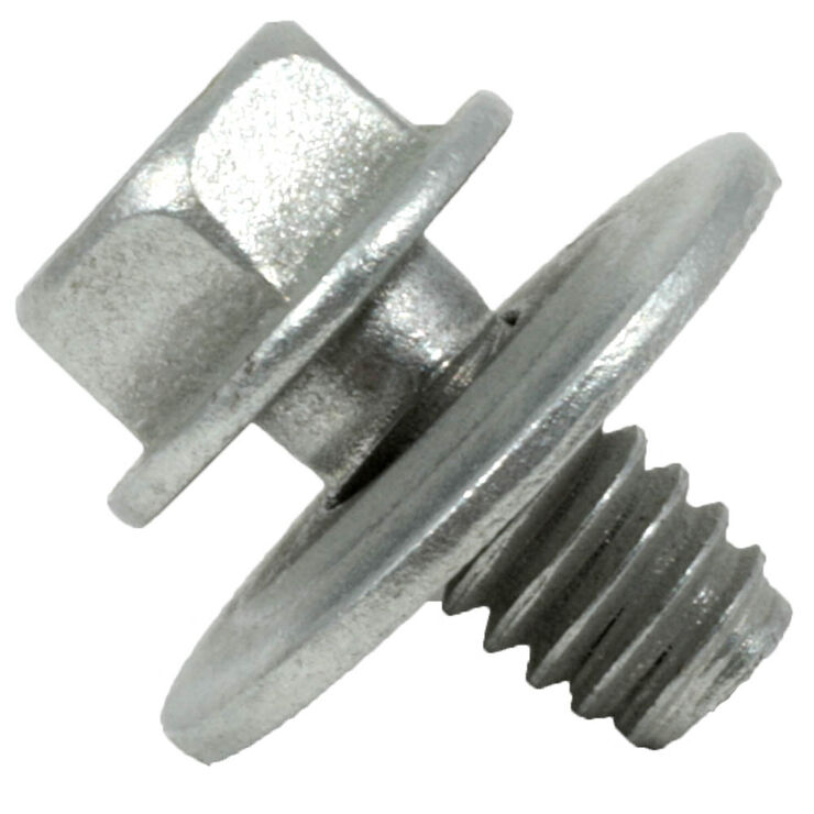 285442729.jpg