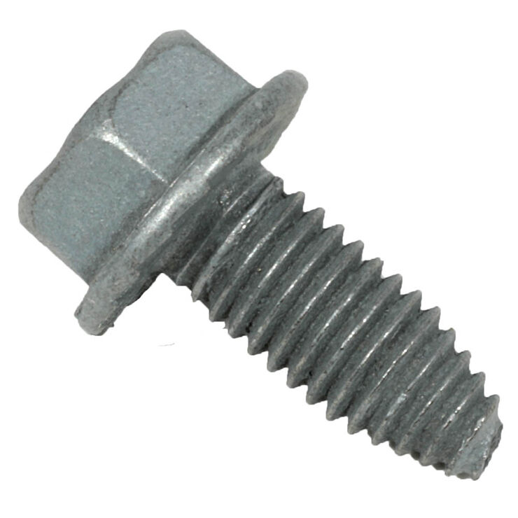 285442736.jpg