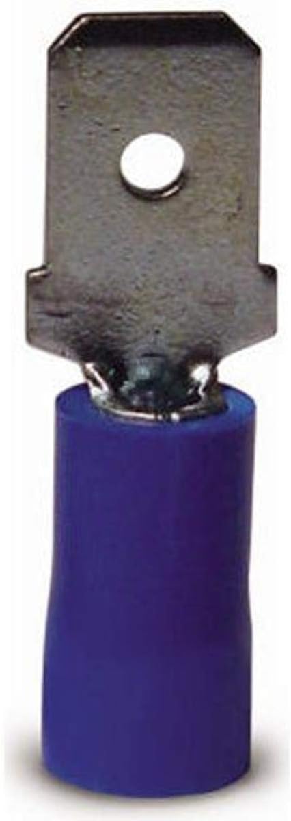 285444653.jpg