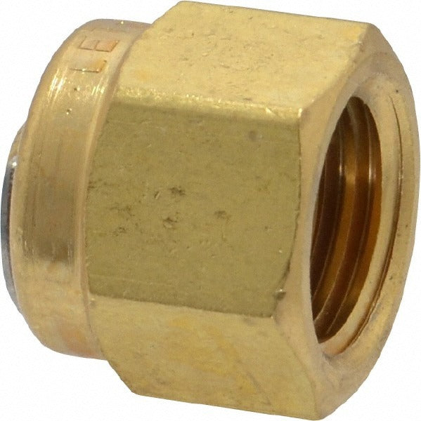 HAM-LET Ham-let 3101062 Compression Tube Plug Brass
