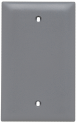 Pass & Seymour TP13GRY 1Gang Wall Plate, Blank, Box Mount, Thermoplastic, Gray