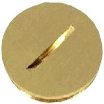 293729029.jpg