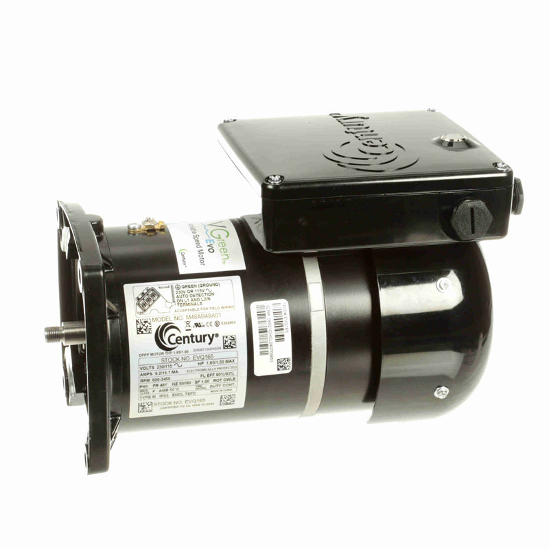 293731139.jpg