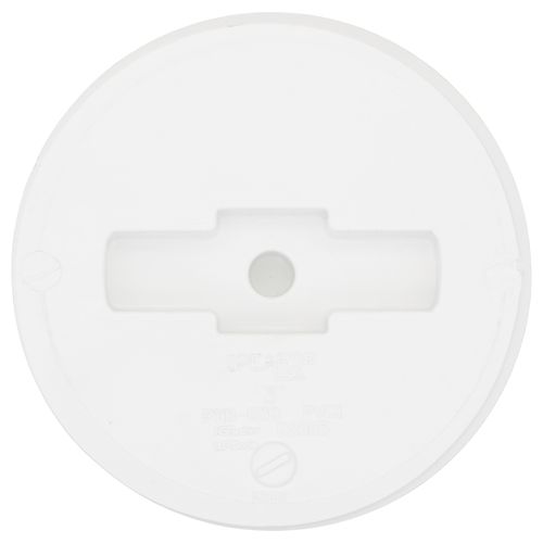 293731650.jpg
