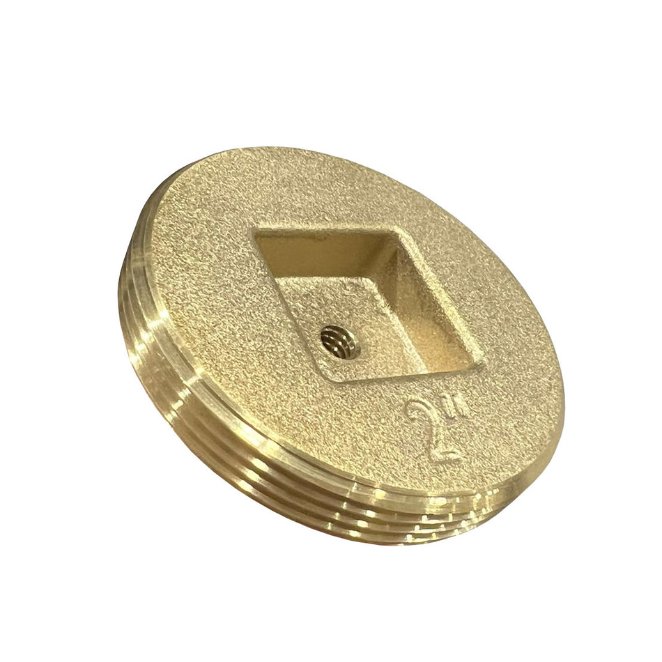 293841023.jpg
