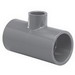 293844521.jpg