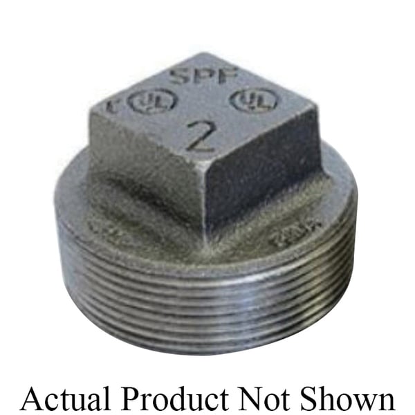 293858083.jpg