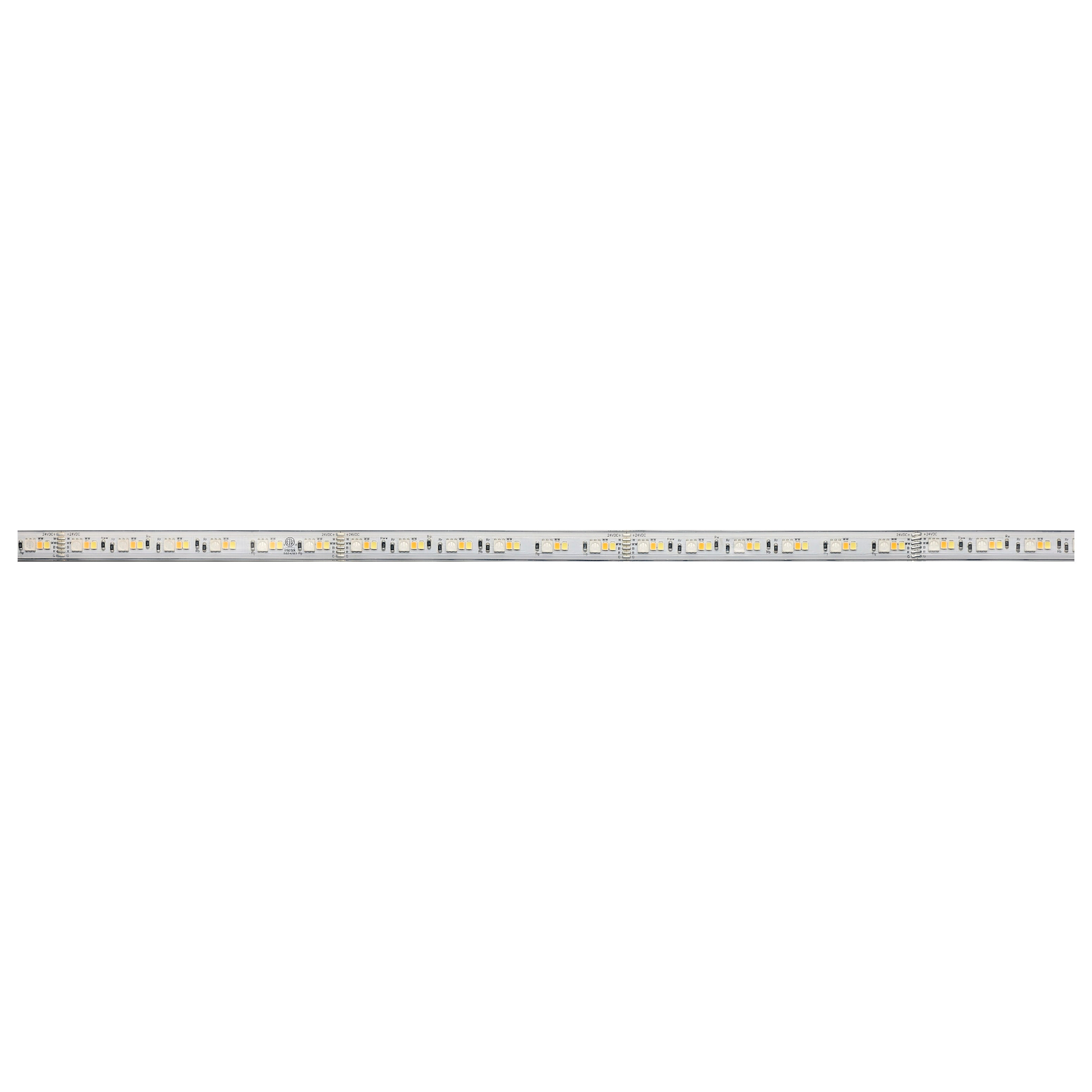 294682537.jpg