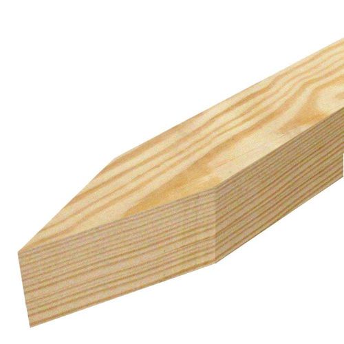 294986524.jpg