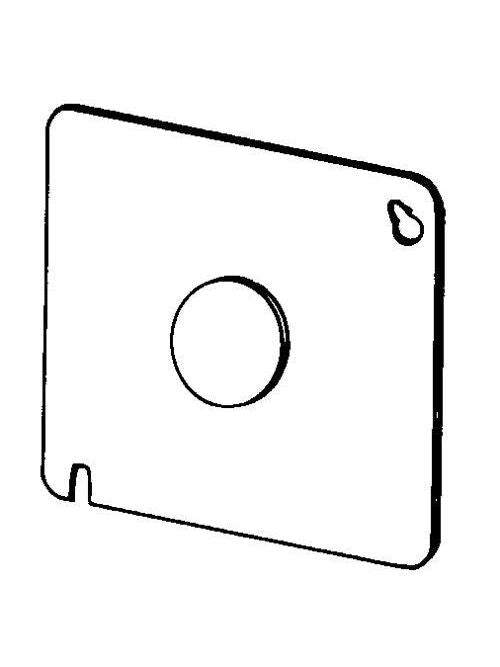 295177210.jpg