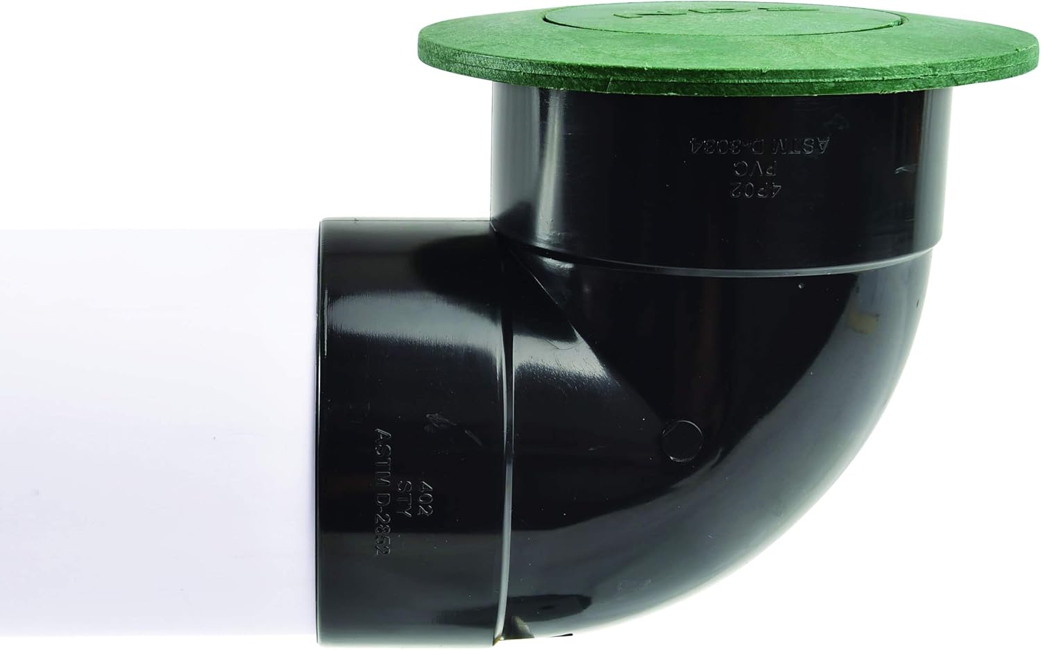 295179879.jpg