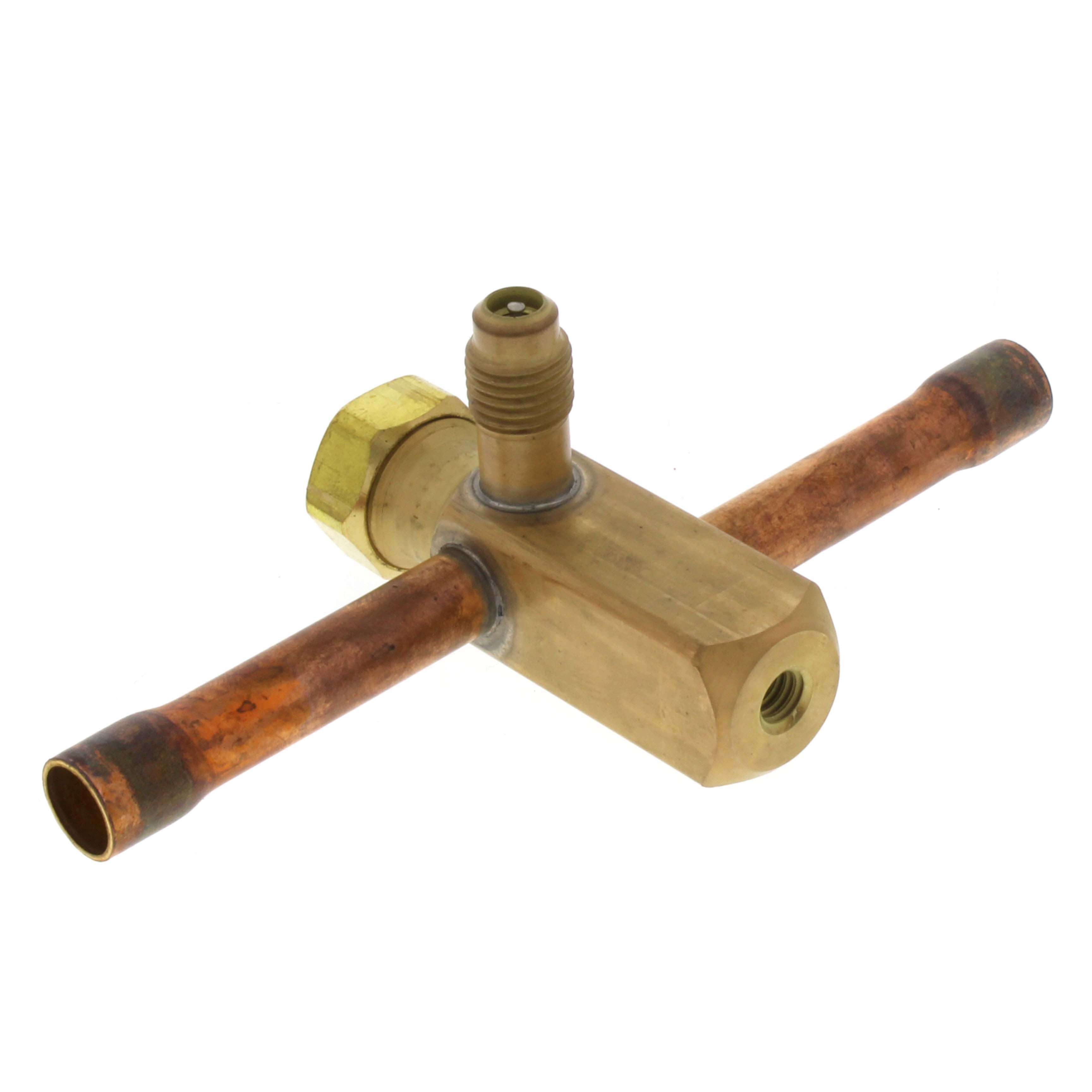 295180061.jpg
