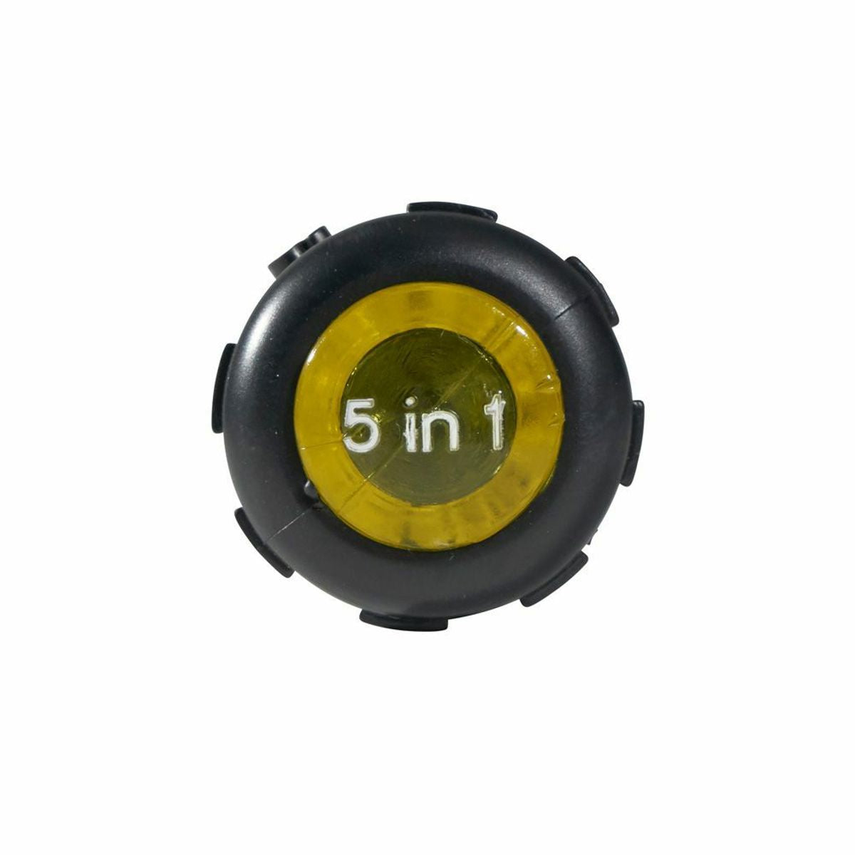 295185596.jpg